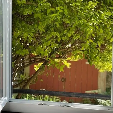 Apartament Le Petit Galet *